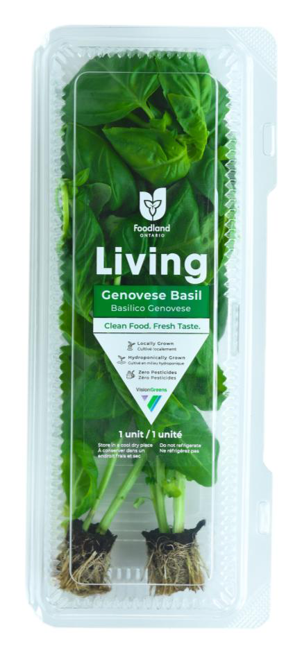 Vision Greens Living Genovese Basil